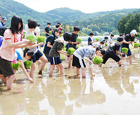 Students from outside the prefecture experience rice planting