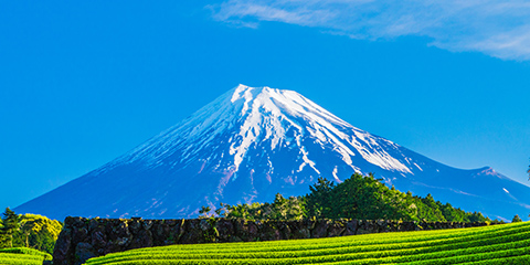 Mt. Fuji: Object of faith and source of art